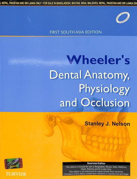 Buy Wheelers Dental Anatomy Physiology & Occlusion book Stanley J